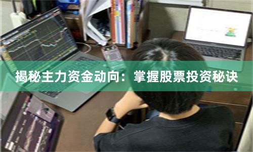 揭秘主力资金动向：掌握股票投资秘诀