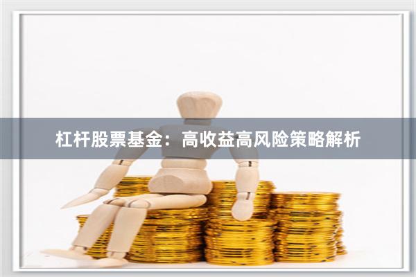 杠杆股票基金：高收益高风险策略解析